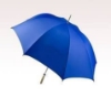 Picture of A BLUE UMBRELLA, COOL