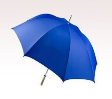 Picture of BLUE UMBRELLA